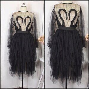 Sheer Laced Top With Matching Tier Laced Skirt